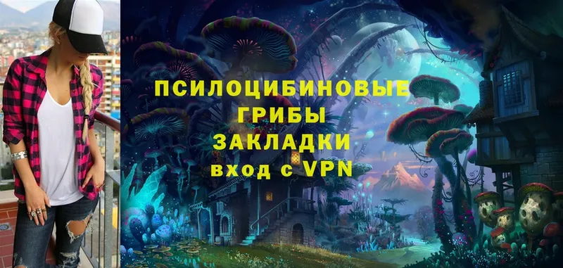 Галлюциногенные грибы Magic Shrooms  Аркадак 